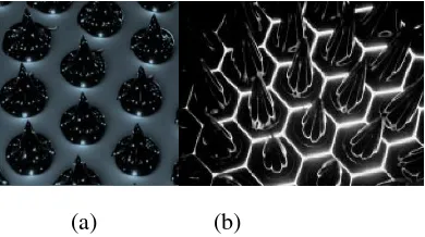 Gambar 2.6  Transmisi cahaya pada meduim yang dipengaruhi medan magnet (Respita & dkk, 2007) 