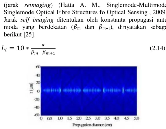 Gambar 2.16  Profil medan self imaging pada pandu gelombang multimode step-index(Hatta A