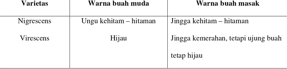 Tabel 1. Varietas Kelapa Sawit Berdasarkan Warna Kulit Buah 