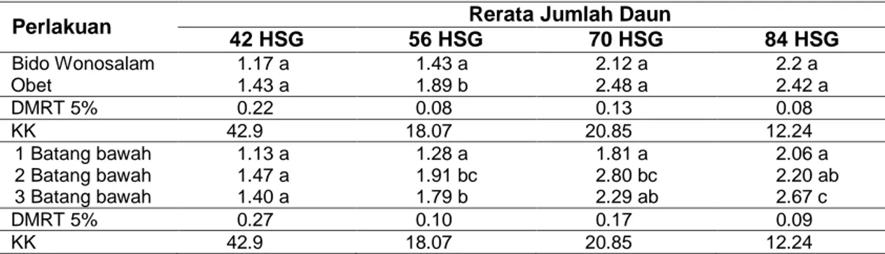Tabel 5  Rerata Jumlah Daun akibat Perlakuan Jumlah Batang Bawah dan   Jenis Batang Atas  Durian 