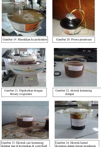 Gambar 22. ekstrak kemuning    