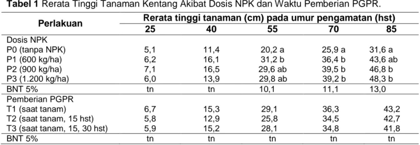 Tabel 1 Rerata Tinggi Tanaman Kentang Akibat Dosis NPK dan Waktu Pemberian PGPR. 