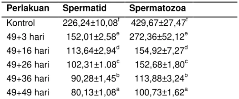Tabel 1 Rerata dan Sd Spermatogenesis Tikus Putih Jantan Setelah                                          Diberi Tanin  Daun Beluntas