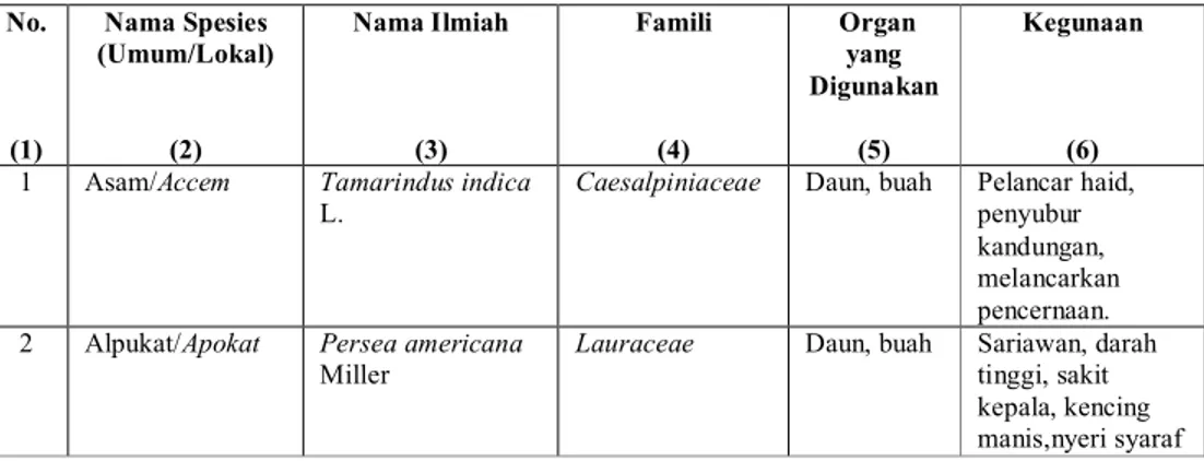 Tabel  4.1  Spesies  Tumbuhan  yang  Dimanfaatkan  untuk  Obat  oleh  Masyarakat  Pamekasan  No.  (1)  Nama Spesies  (Umum/Lokal) (2)  Nama Ilmiah (3)  Famili (4)  Organ yang  Digunakan (5)  Kegunaan (6)  1  Asam/Accem  Tamarindus indica  L. 