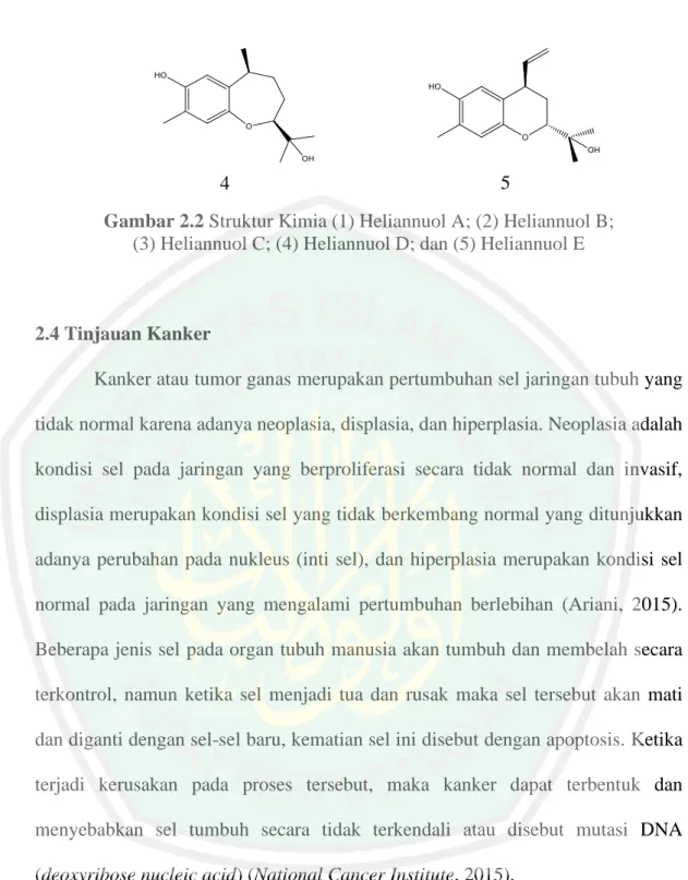 Gambar 2.2 Struktur Kimia (1) Heliannuol A; (2) Heliannuol B;  