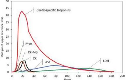Gambar 5. Waktu peningkatan enzim jantung pada infark miokard       Sumber : Cervellin , 2014 