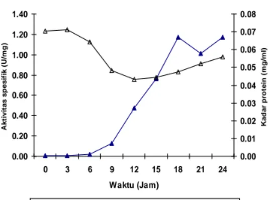 Gambar 3. Kurva aktivitas spesifik  dan kadar protein    protease S.  marcescens BKU-31  yang  ditumbuhkan  dalam media  NBS  pada  pH  8.0,  suhu  37