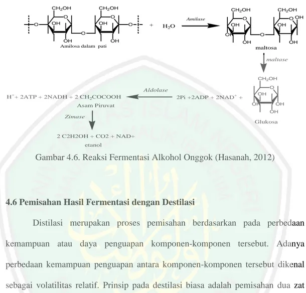 Gambar 4.6. Reaksi Fermentasi Alkohol Onggok (Hasanah, 2012) 