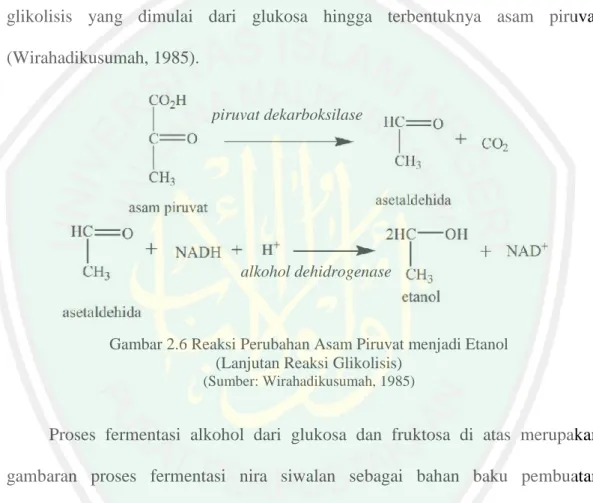 Gambar 2.6 Reaksi Perubahan Asam Piruvat menjadi Etanol (Lanjutan Reaksi Glikolisis)
