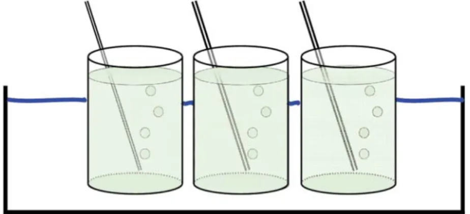 Figure 1. Design of observation apparatus in water bath system