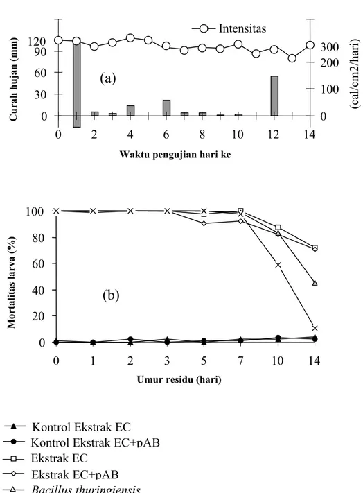 Gambar  1.  Aktivitas  residu  formulasi  ekstrak  kulit  batang  C.  soulattri  setelah  dipaparkan  di  ruang  terbuka,    (a)  curah  hujan  dan  intensitas  penyinaran selama pengujian, (b) mortalitas larva C
