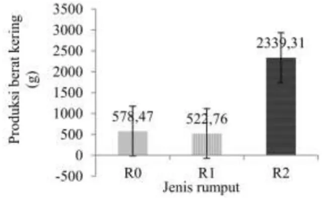 Gambar 4 di bawah ini menunjukkan jumlah anakan  sekunder terbaik pada jenis R0 sebanyak 29 stolon/plot 
