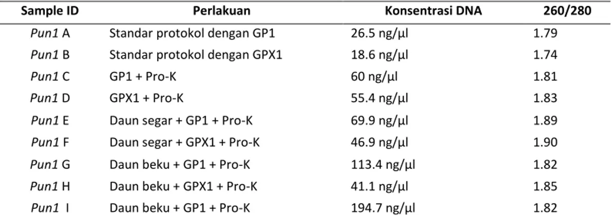 Tabel  1.  Hasil  kuantifikasi  Isolasi  DNA  Capsicum  frutescens  cv.  Cakra  Hijau  berdasarkan  perlakuan  yang  diberikan  