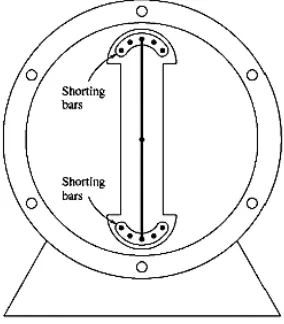 Gambar 2. 6 Rotor Dua Kutub Menonjol Dengan Damper Winding [7] 