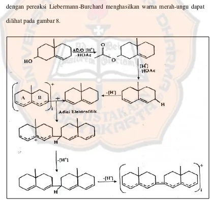 Gambar 8. Reaksi terpenoid dengan pereaksi Liebermann-Burchard (Siadi, 2012) 