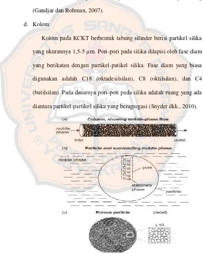 Gambar 7. Diagram Kolom KCKT (Snyder dkk.,  2010).