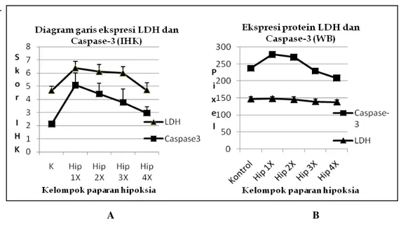 Gambar 3.    Skor IHK dan WB  ekspresi Caspase-3 dan LDH              Ket.:  A   Skoring sedian pulasan Imunohistokimia                        B    Skoring sedian dengan Western Blot 