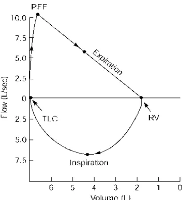 Gambar 2.1.1 Spirometri normal (Shifren, 2006)                  