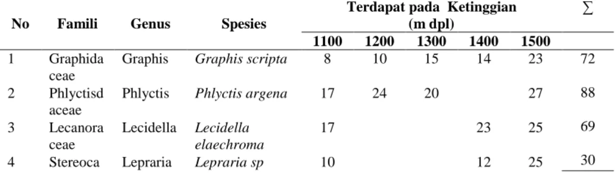 Tabel  1.  Hasil  Eksplorasi  Lichen  Bertipe  Thallus  Crustose  di  Kawasan  Hutan  Sekipan Desa Kalisoro Tawangmangu Karanganyar 