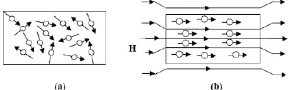 Gambar 2.10 Arah partikel pada magnet isotropi dan anisotropi (a) Arah partikel acak (Isotrop) (b) Arah partikel searah (Anisotrop) (Masno et al