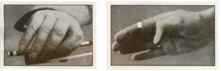 Gambar 3.9 : Posisi gaya tangan kanan Rusia dalam memegang bow dan   anatomi posisi jari tangan kanan dalam memegang bow (Rosenblith, 2000: 174) 