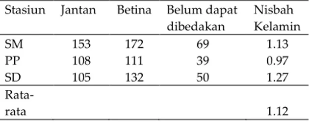 Tabel  1.        Nisbah  kelamin  kerang  sepetang  (P. acutidens) pada setiap stasiun 