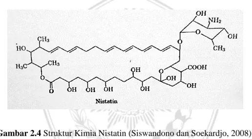 Gambar 2.4 Struktur Kimia Nistatin (Siswandono dan Soekardjo, 2008). 