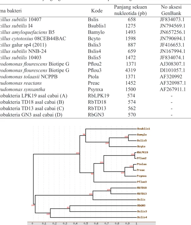 Gambar 2   Pohon filogenetik rizobakteria dari pertanaman cabai di Sumatera Barat berdasar- berdasar-kan sekuen fragmen DNA hasil amplifikasi dengan primer  27F dan 1525R (daerah 16S rRNA).