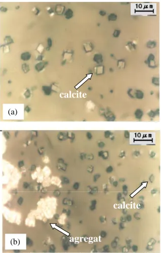 Gambar 6. Analisis XRD deposit kristal CaCO 3  pada  120  menit presipitasi: (a) sampel non-magnetik (b)  sampel magnetik