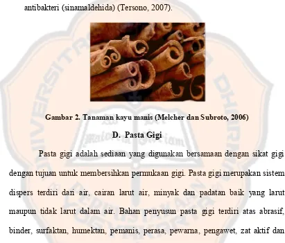 Gambar 2. Tanaman kayu manis (Melcher dan Subroto, 2006)Gambar 2. Tanaman kayu manis (Melcher dan Subroto, 2006)Gambar 2