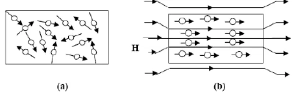 Gambar 2.8. Arah partikel pada magnet (a) isotropi dan (b) anisotropi 