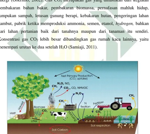 Gambar 2.3 Siklus Gas Rumah Kaca di Lahan Pertanian dan Ternak  (Sumber : IPCC, 2006) 