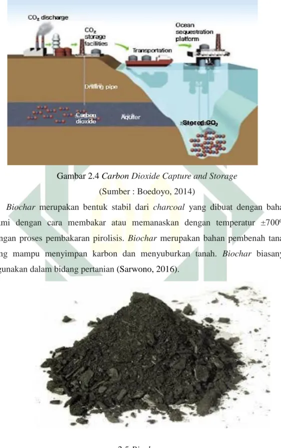 Gambar 2.4 Carbon Dioxide Capture and Storage  (Sumber : Boedoyo, 2014) 