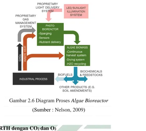 Gambar 2.6 Diagram Proses Algae Bioreactor  (Sumber : Nelson, 2009) 