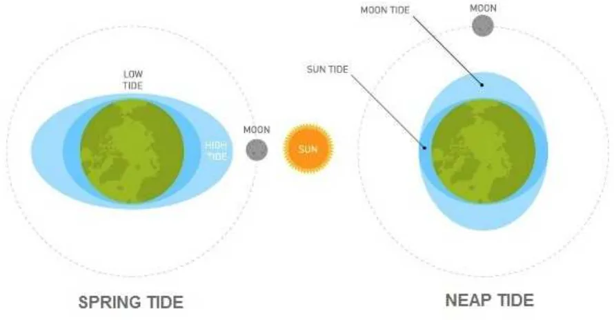Gambar 4 Konfigurasi Bulan dan Matahari Dalam Membentuk Pasang Surut 