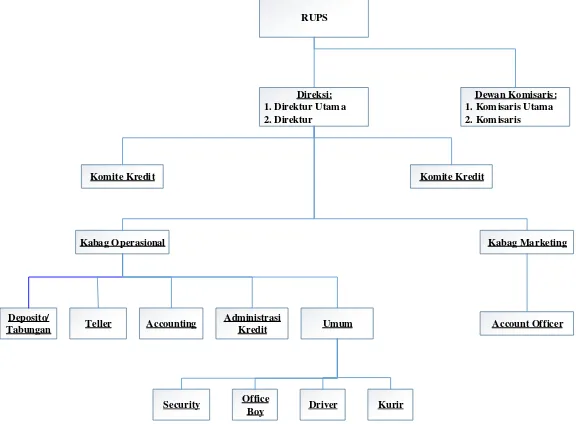 Gambar 2.1 Struktur Organisasi PT. BPR Aridha Arta Nugraha 