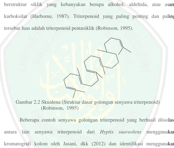 Gambar 2.2 Skualena (Struktur dasar golongan senyawa triterpenoid)  (Robinson,  1995) 