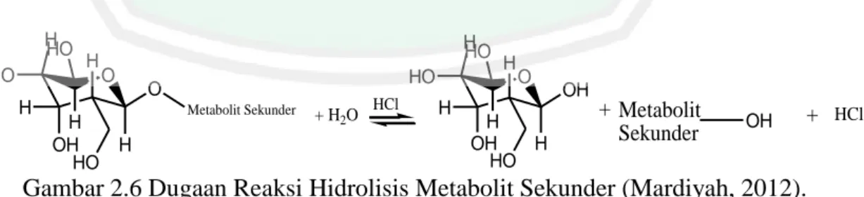 Gambar 2.6 Dugaan Reaksi Hidrolisis Metabolit Sekunder (Mardiyah, 2012). 