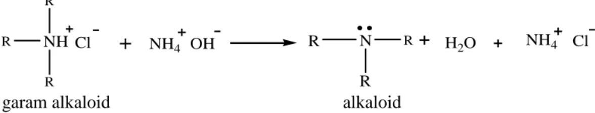 Gambar 2.4 Reaksi pembebasan amina dengan cara pembasaan  2.3.3 Klasifikasi Senyawa Alkaloid 