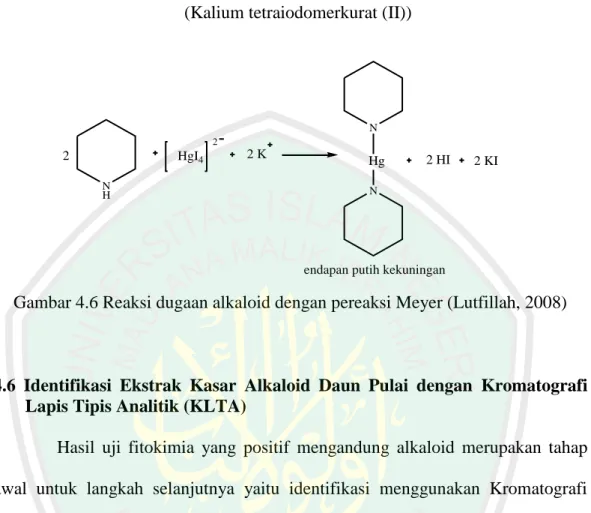 Gambar 4.6 Reaksi dugaan alkaloid dengan pereaksi Meyer (Lutfillah, 2008) 