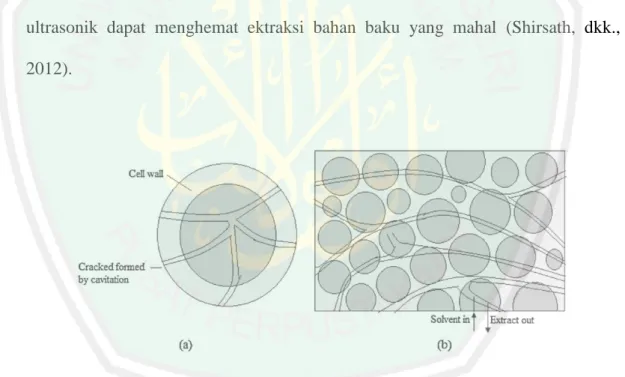 Gambar  2.3  Mekanisme  Gangguan  Dinding  Sel  (a)  pecahnya  dinding  sel  akibat  efek kavitasi (b) difusi pelarut ke dalam struktur sel  (Shirsath, dkk.,  2012) 