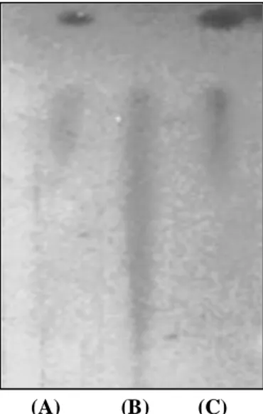 Gambar 2. Kromatogram hasil pemurniaan isoflavon glikosida  (genistin)  dengan  teknik  kromatografi  preparatif