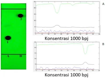 Gambar 3.  Respon  luas  area  puncak  terhadap  densitas  bercak  diazepam  1.000  bpj  (A)  dan  metampiron  1.000  bpj  (B)    dan  volume  penotolan  5  µL;  dan  fg:  sistem  TAF