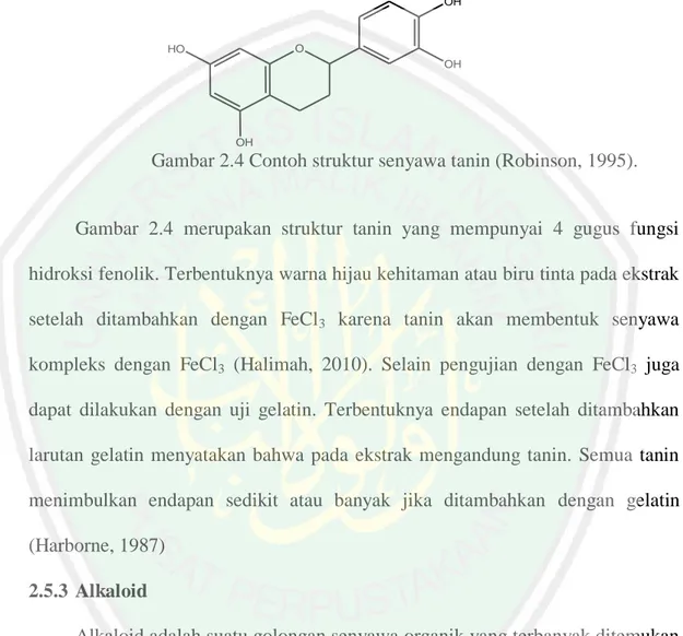 Gambar 2.4 Contoh struktur senyawa tanin (Robinson, 1995). 