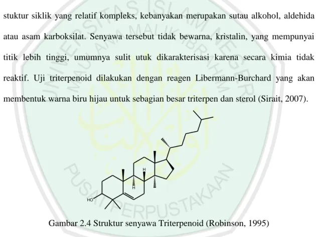 Gambar 2.4 Struktur senyawa Triterpenoid (Robinson, 1995) 