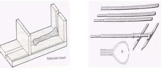 Gambar 2 : (A). Papan Osteometri. (B). Antropometer menurut Martin. 