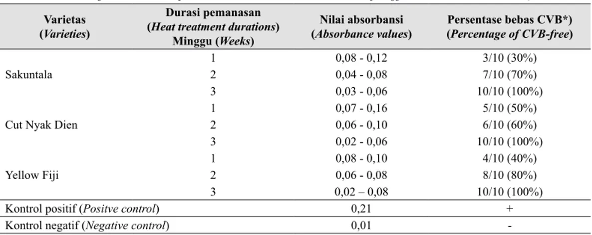 Tabel 4.  Hasil deteksi uji ELISA langsung dan persentase bebas CVB 3 varietas krisan pada  durasi pemanasan yang berbeda (CVB detection by direct ELISA and percentage of  virus-free on 3 chrysanthemum varieties treated by different heat durations)