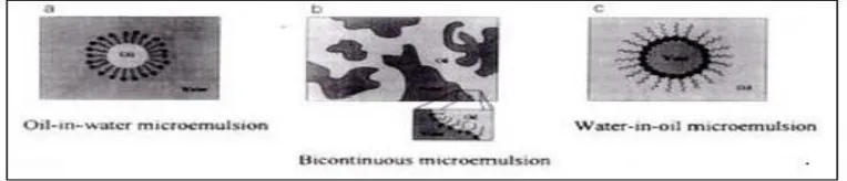 Gambar 1. Tipe sistem dispersi mikroemulsi (Wankhade et al.,2012).  