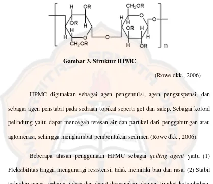 Gambar 3. Struktur HPMC 