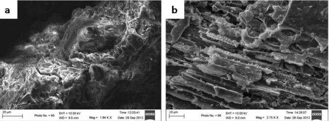 Gambar 6.  Mikrograf karbosil sekam padi (a) karbosil sebelum adsorpsi (b) karbosil      setelah adsorpsi